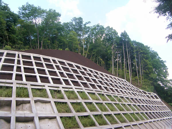 木次町山方地内 - 法面保護